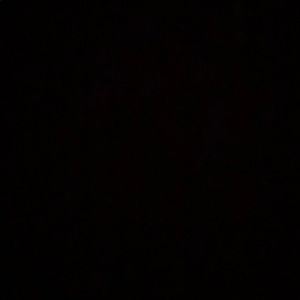 Meet your Posher, Jake